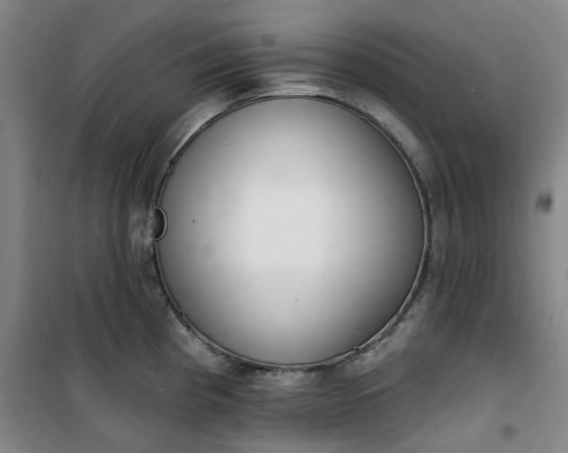 X0000101151193200807110958