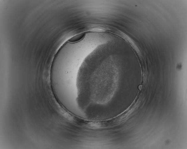 X0000101151194200807110958