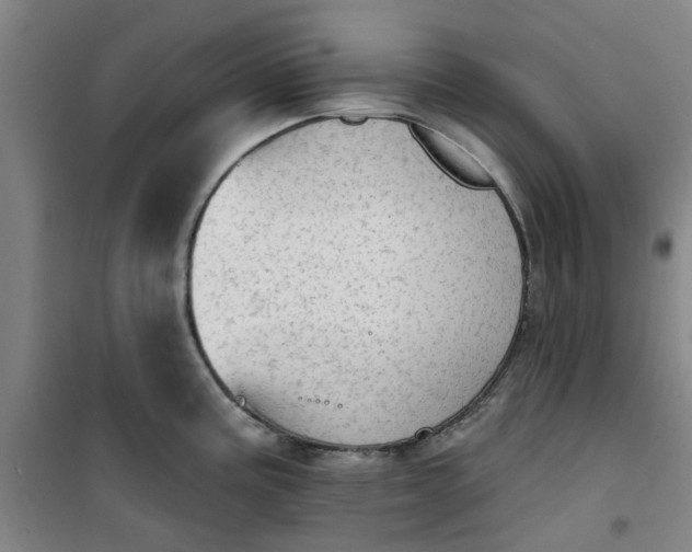 X0000101151195200807110958