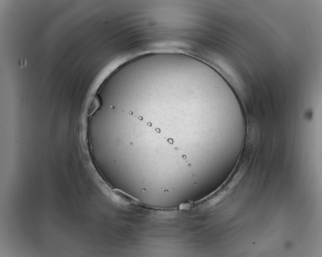 X0000101151196200807110958