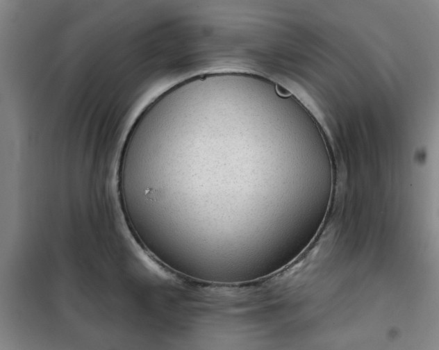 X0000101151197200807110958