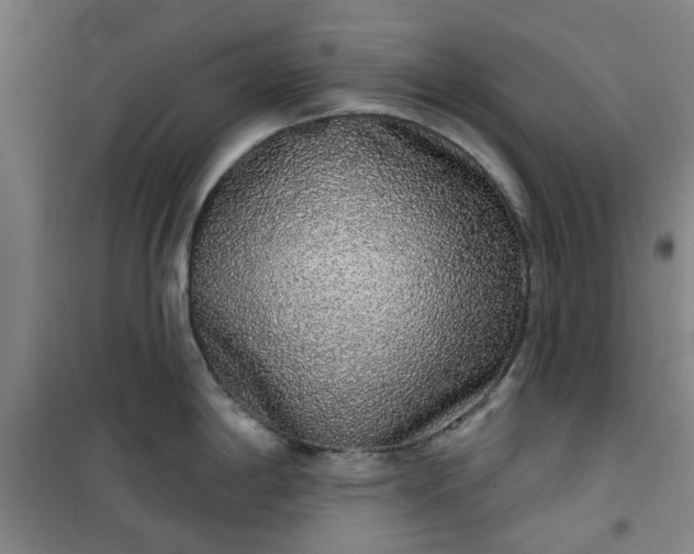 X0000101151198200807110958