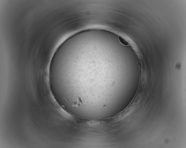 X0000101151199200807110958