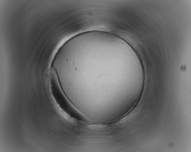 X0000101151200200807110958