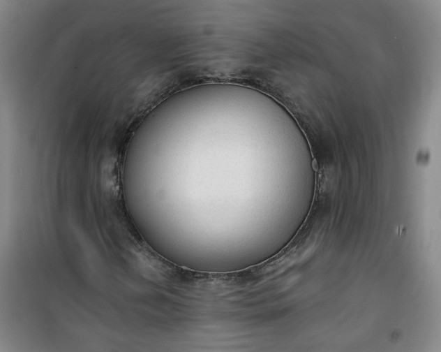 X0000101151202200807110958