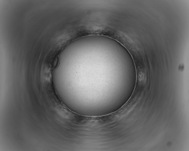 X0000101151204200807110958