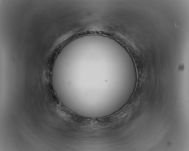 X0000101151207200807110958