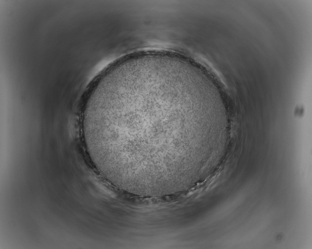 X0000101151208200807110958