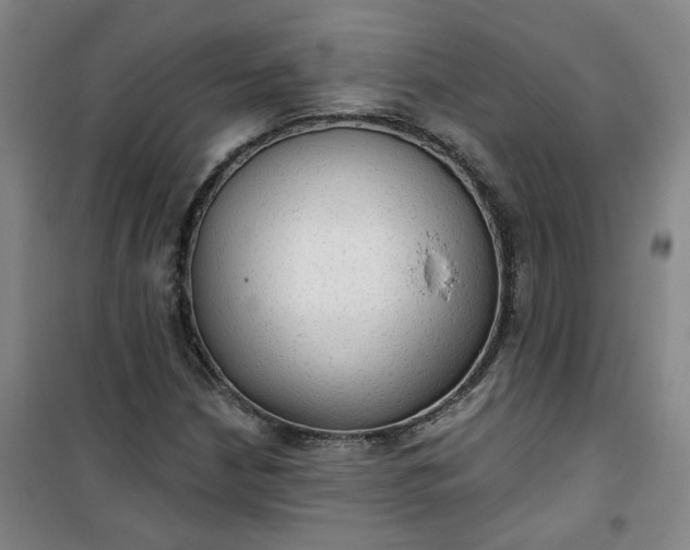 X0000101151210200807110958