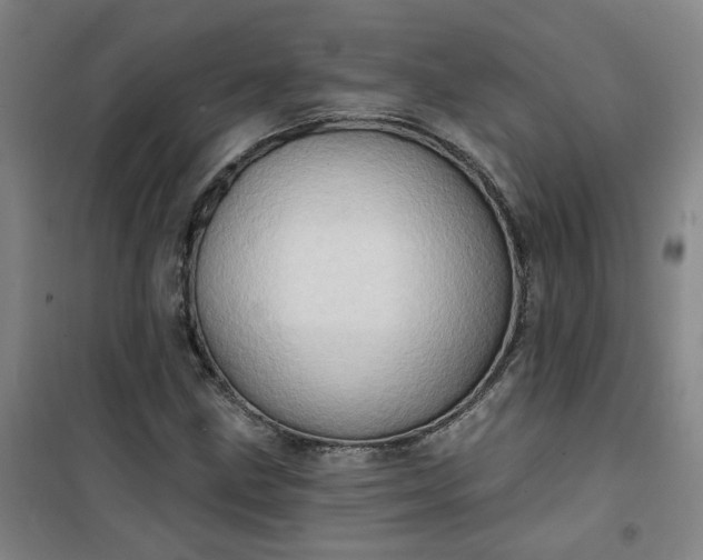 X0000101151211200807110958