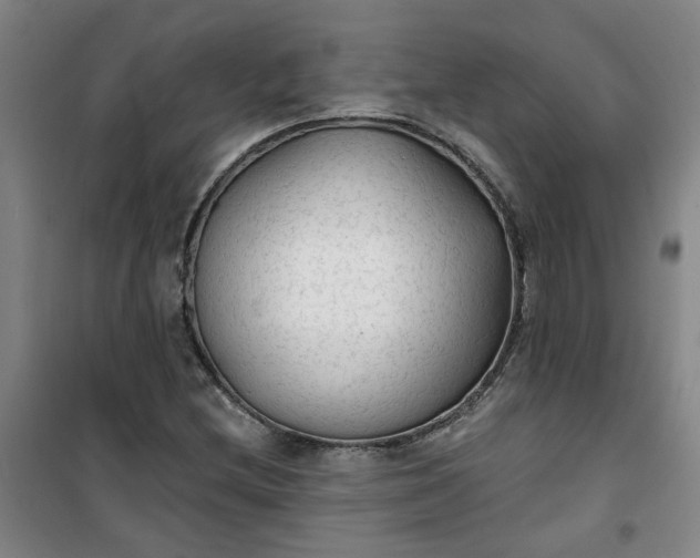 X0000101151212200807110958