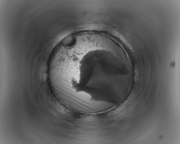 X0000101151213200807110958