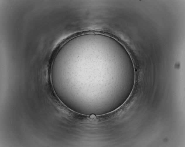 X0000101151214200807110958