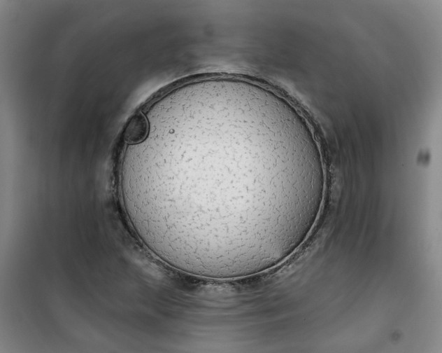 X0000101151215200807110958