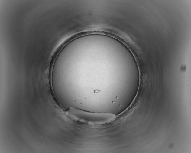 X0000101151216200807110958