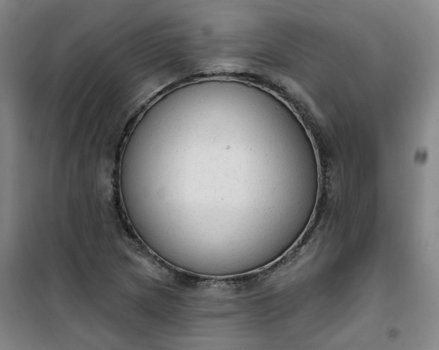 X0000101151217200807110958