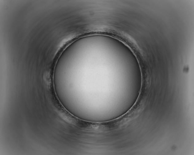 X0000101151218200807110958