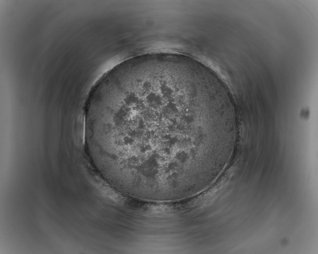 X0000101151219200807110958