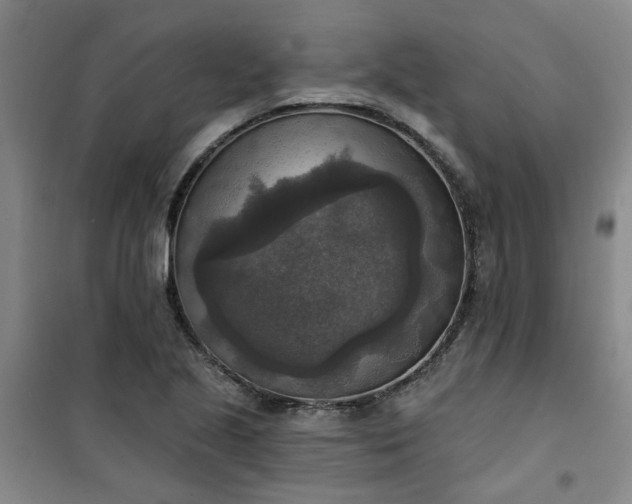 X0000101151221200807110958