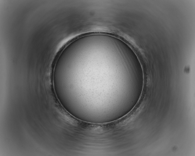 X0000101151222200807110958