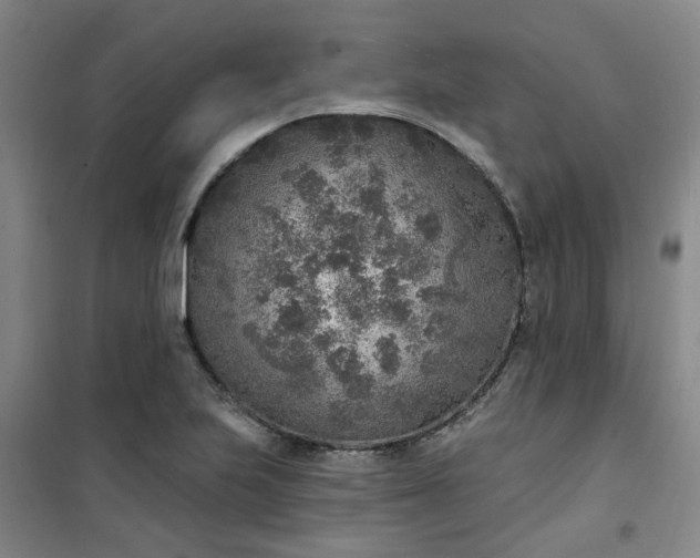 X0000101151223200807110958