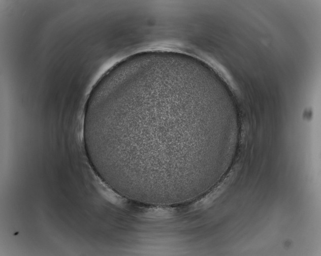 X0000101151224200807110958