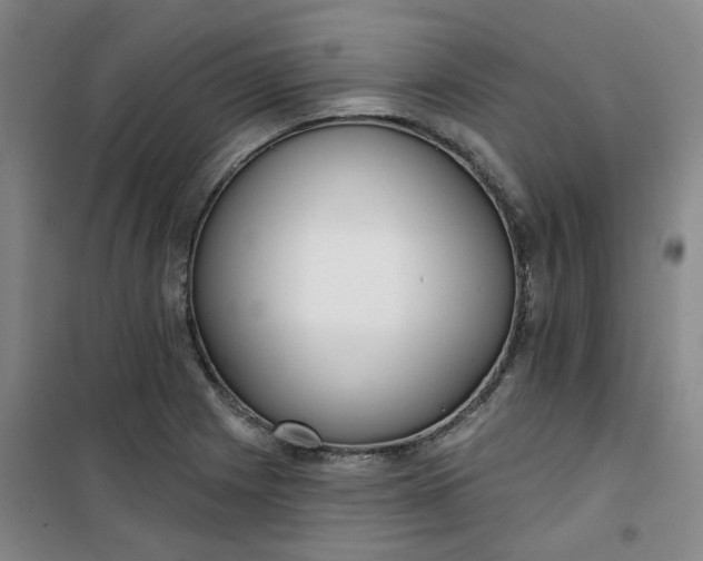 X0000101151225200807110958