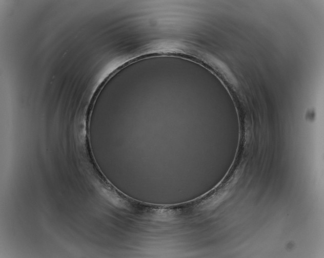 X0000101151226200807110958