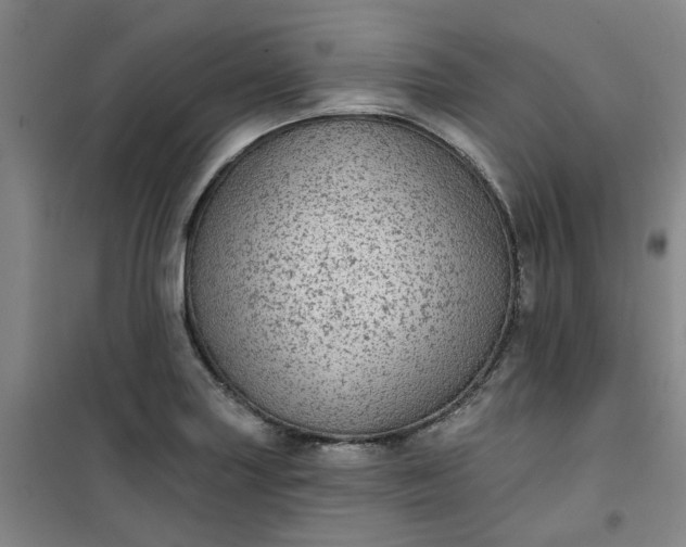 X0000101151227200807110958