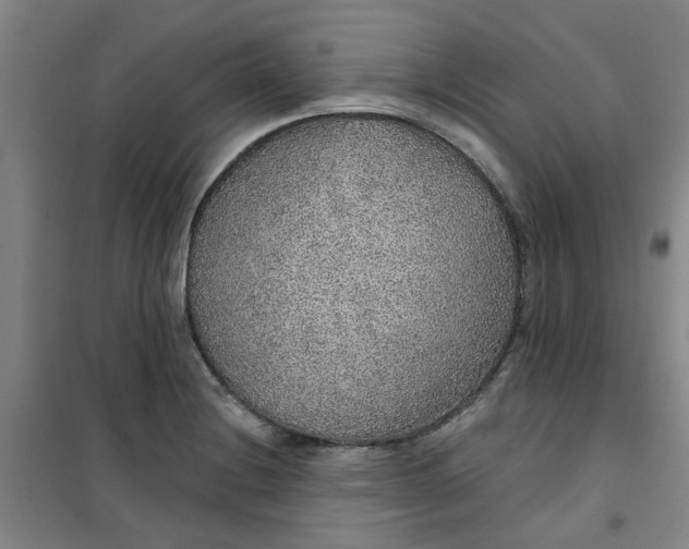 X0000101151228200807110958