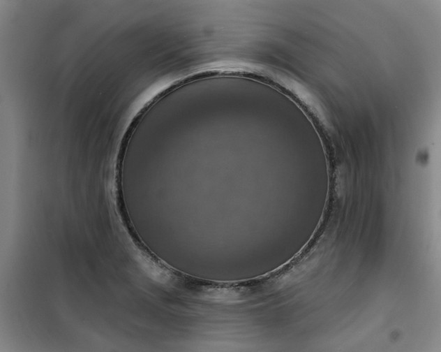 X0000101151229200807110958