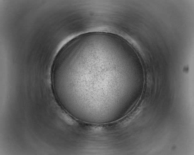 X0000101151230200807110958