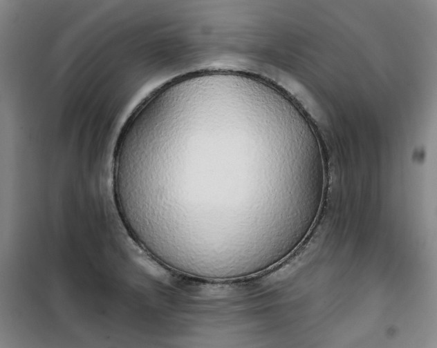 X0000101151232200807110958