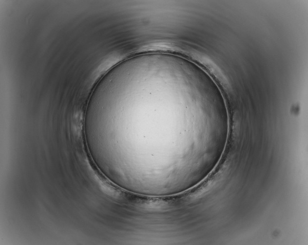 X0000101151233200807110958