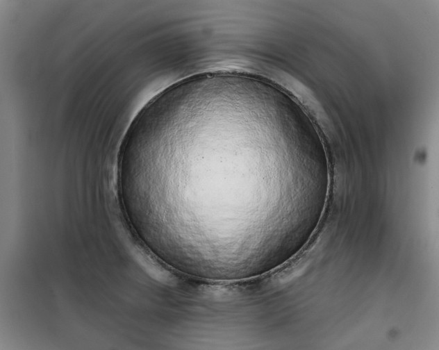 X0000101151234200807110958