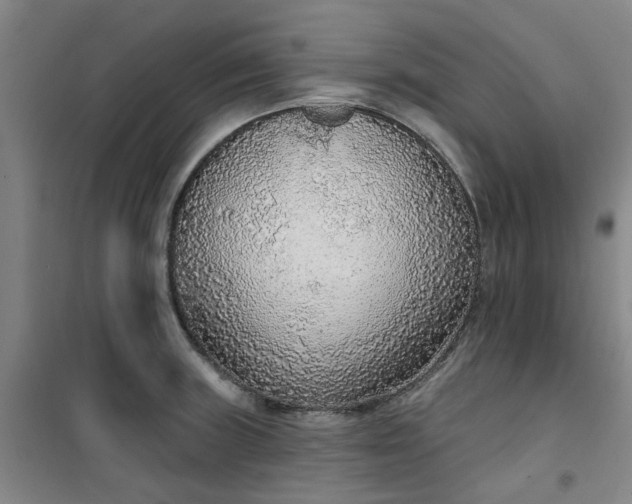 X0000101151235200807110958