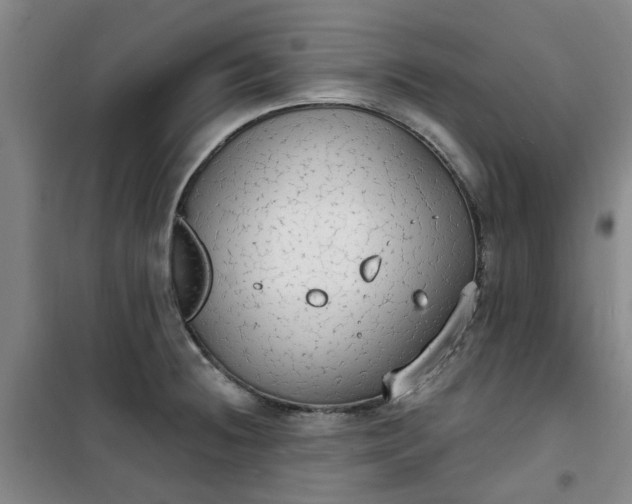 X0000101151236200807110958