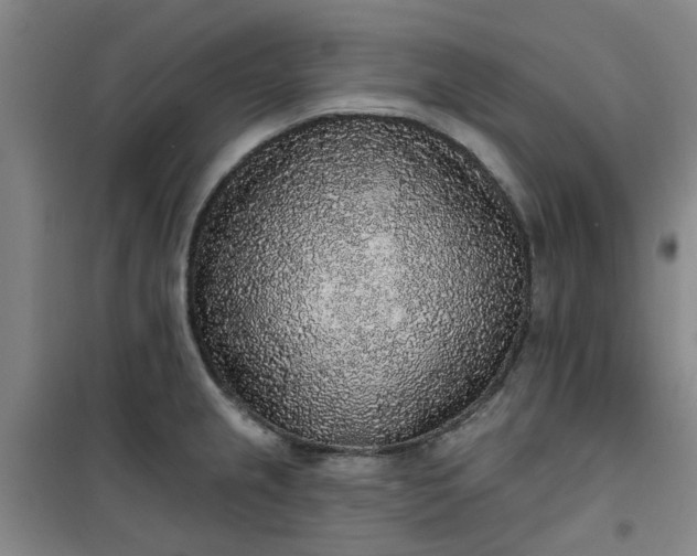 X0000101151237200807110958