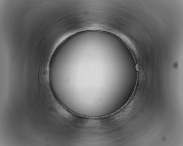 X0000101151238200807110958