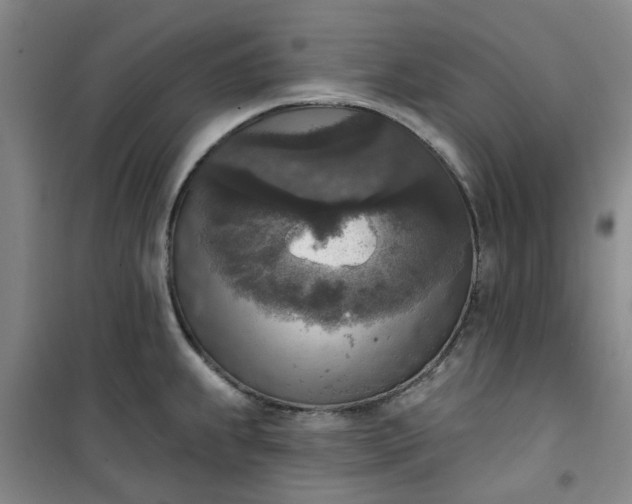 X0000101151239200807110958