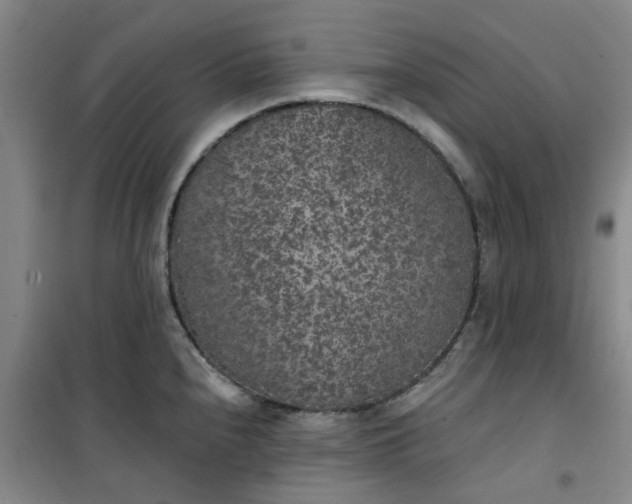 X0000101151240200807110958