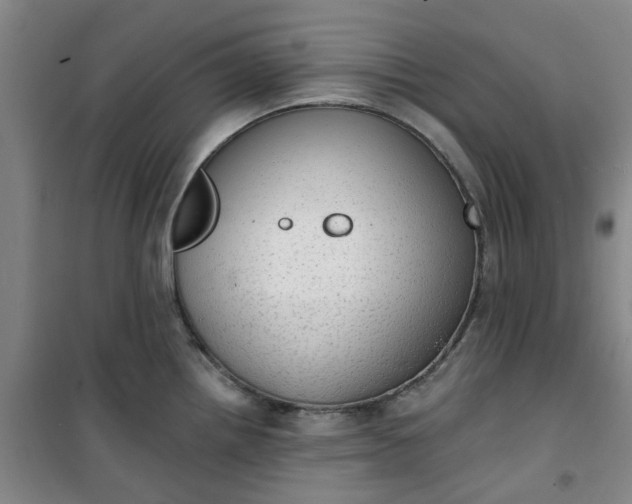 X0000101151242200807110958