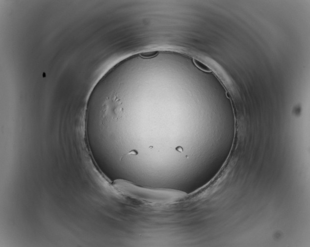 X0000101151244200807110958