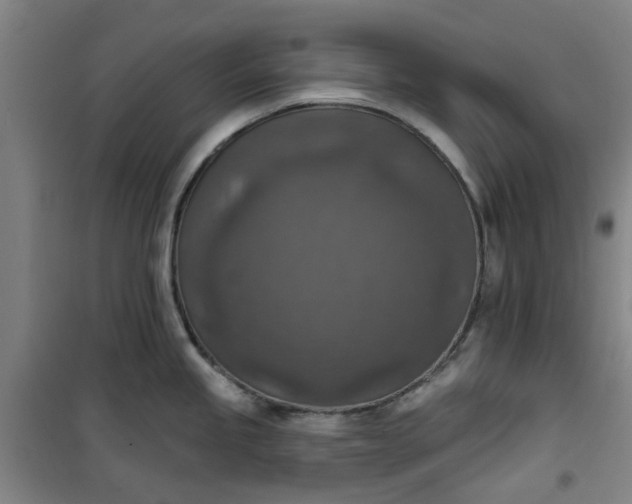 X0000101151245200807110958