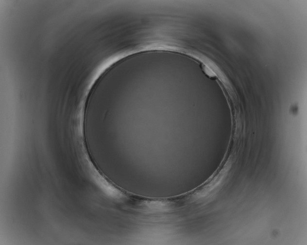 X0000101151246200807110958