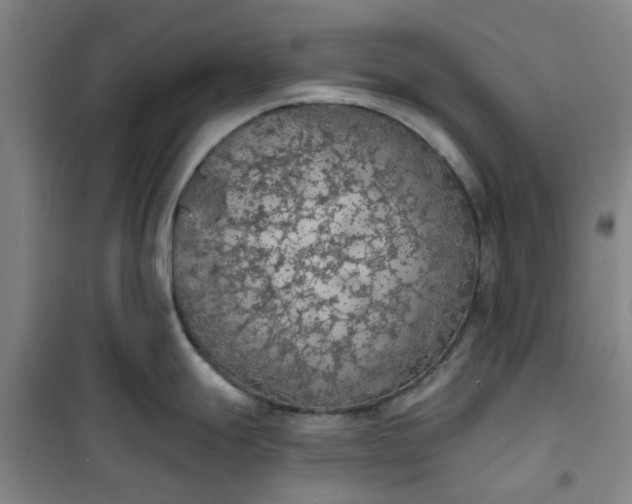 X0000101151247200807110958