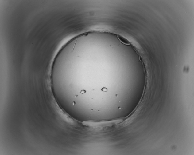 X0000101151248200807110958