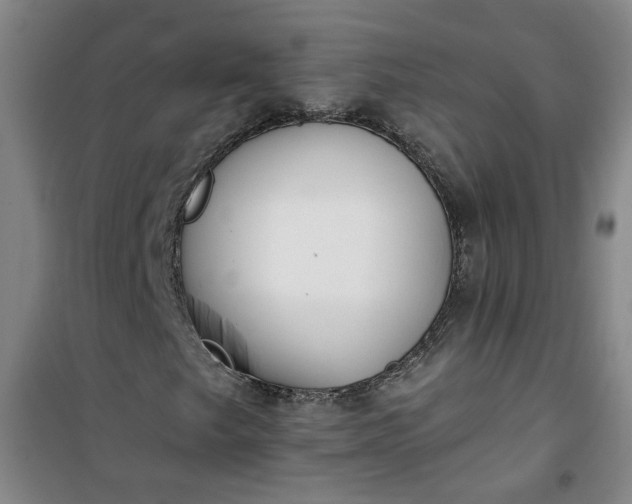 X0000101151249200807110958