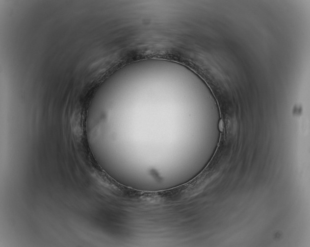 X0000101151250200807110958