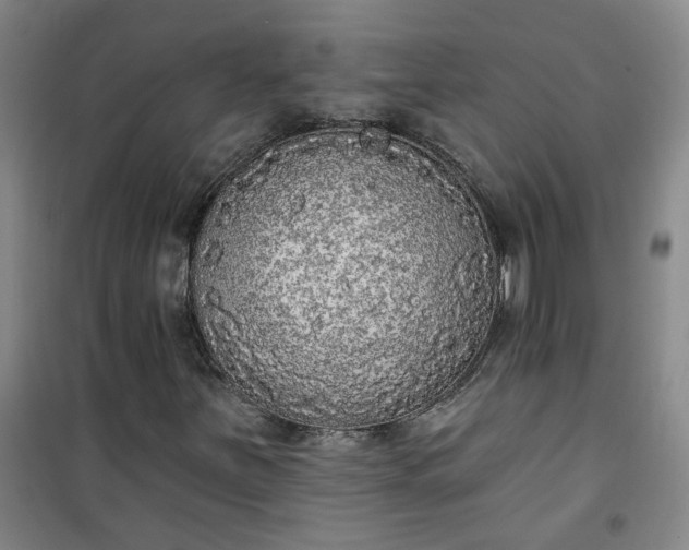 X0000101151251200807110958